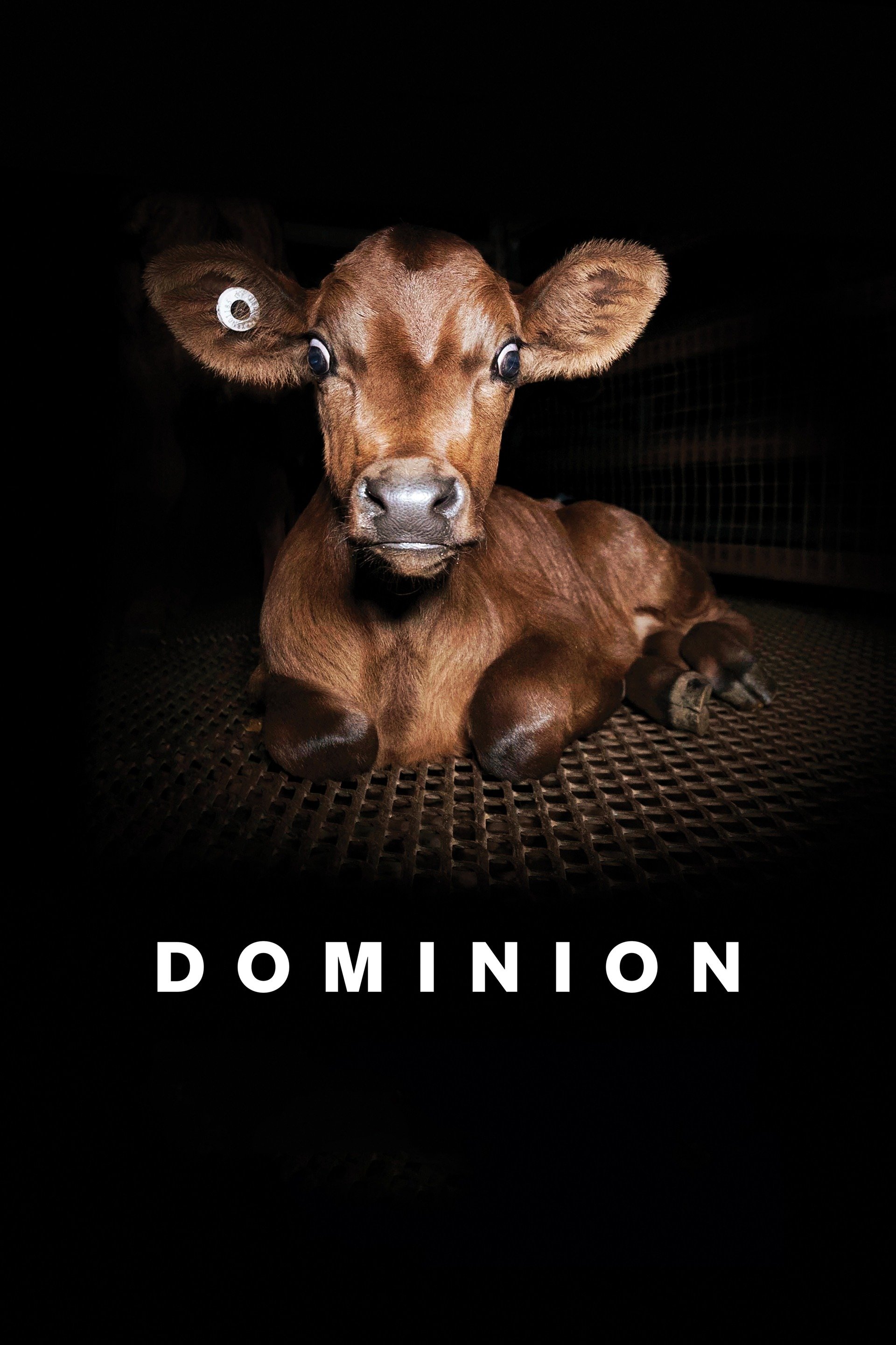 Dominion (2018) [40555] (A1703647829) [[Movies]] --Plex--